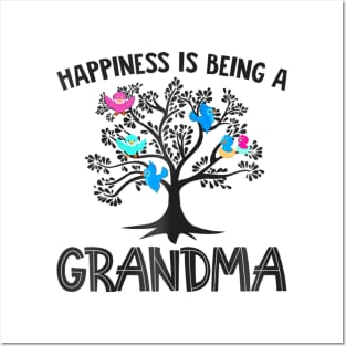 Mothers Day  Birds Happiness Is Being A Grandma Posters and Art